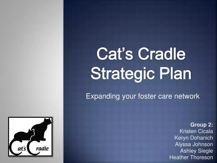 cat s cradle strategic plan