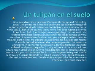 un tulip n en el suelo