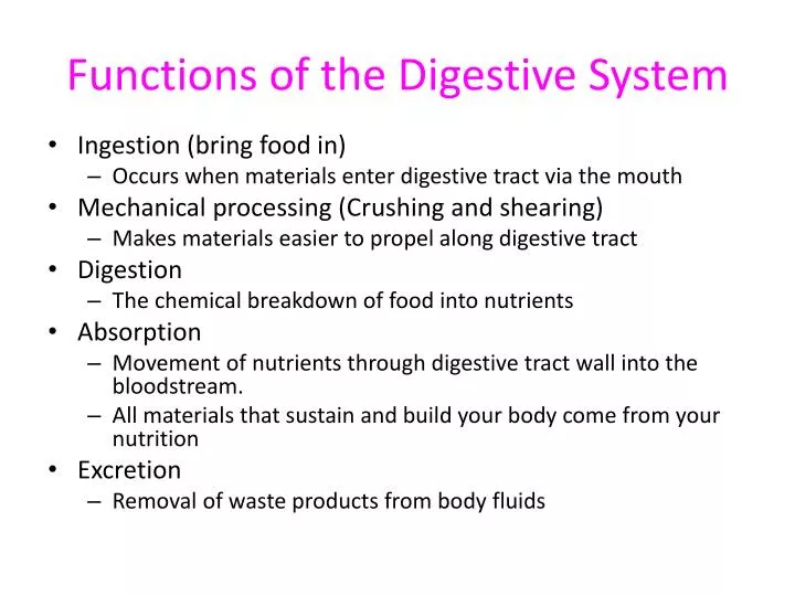 functions of the digestive system