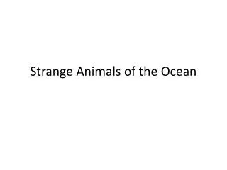 Strange Animals of the Ocean