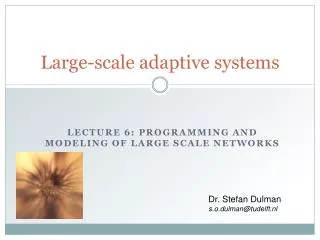 Large-scale adaptive systems