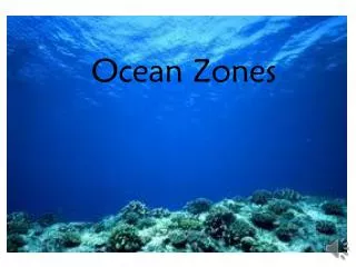 Ocean Zones