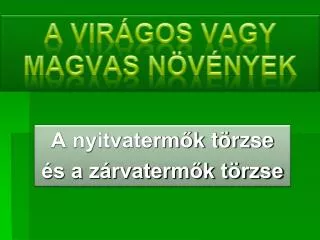 a vir gos vagy magvas n v nyek