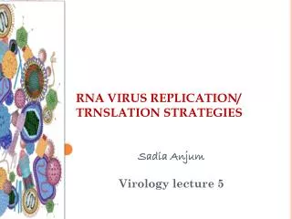 RNA VIRUS REPLICATION/ TRNSLATION STRATEGIES