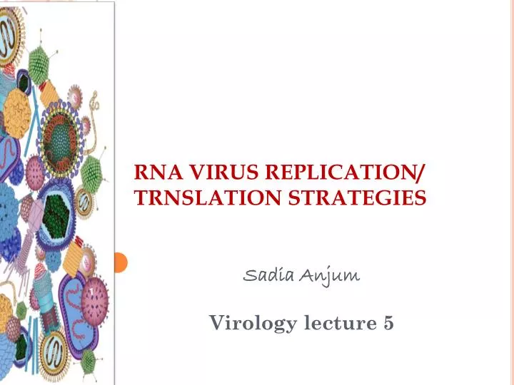 rna virus replication trnslation strategies