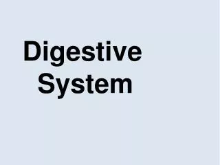 Digestive System