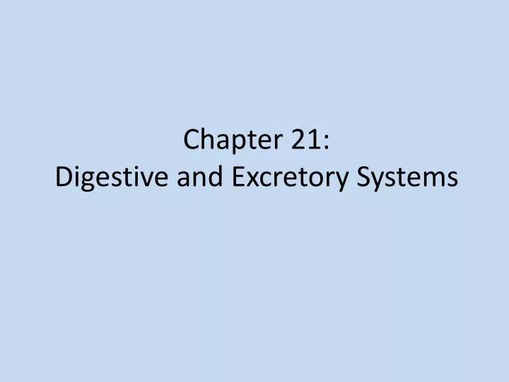 chapter 21 digestive and excretory systems