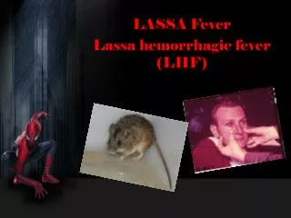 LASSA Fever Lassa hemorrhagic fever (LHF)