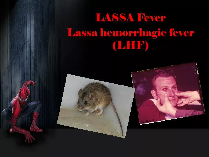 lassa fever lassa hemorrhagic fever lhf