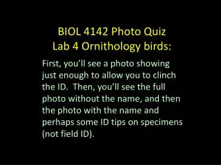 BIOL 4142 Photo Quiz Lab 4 Ornithology birds: