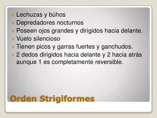 orden strigiformes