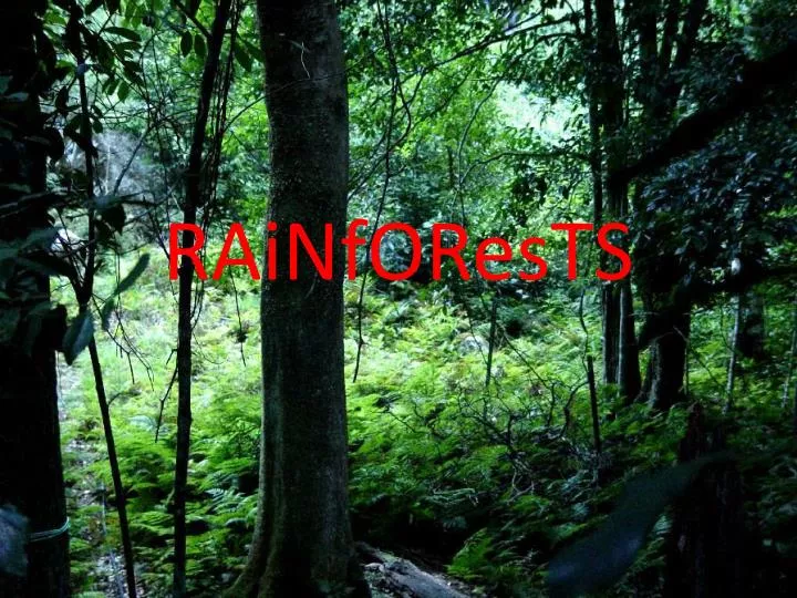 Ppt Rainforests Powerpoint Presentation Free Download Id2274493 5225