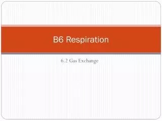 B6 Respiration