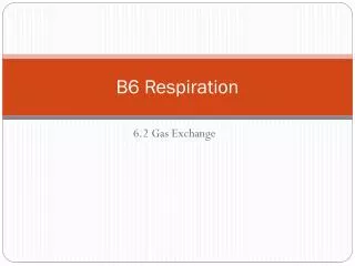 b6 respiration
