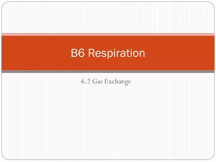 b6 respiration