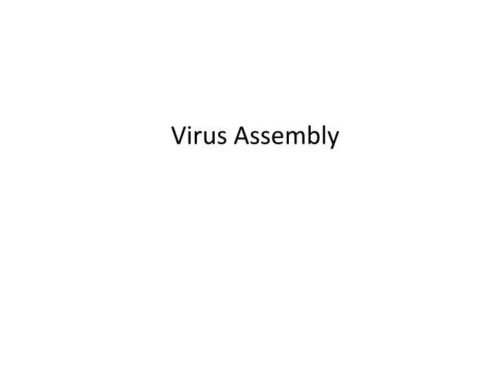 virus assembly