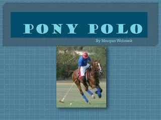 Pony Polo