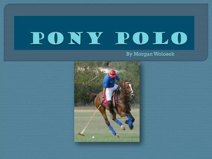 pony polo