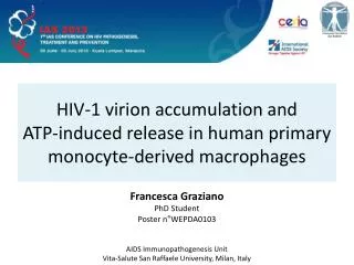 HIV-1 virion accumulation and ATP-induced release in human primary monocyte-derived macrophages
