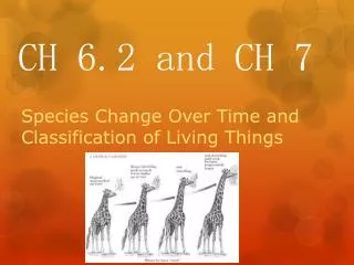 ch 6 2 and ch 7