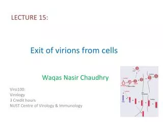 E xit of virions from cells