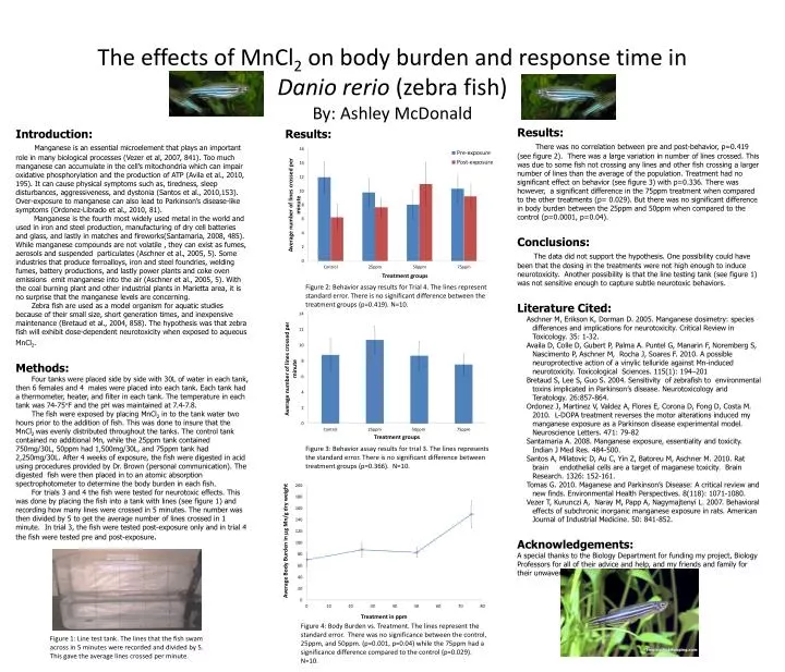 the effects of mncl 2 on body burden and response time in danio rerio zebra fish by ashley mcdonald