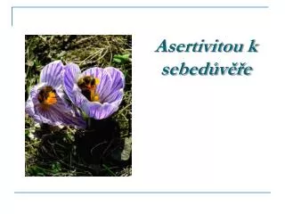 asertivitou k sebed v e