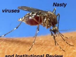 Nasty viruses and Institutional Review Boards