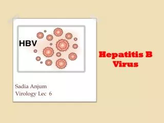 Hepatitis B Virus