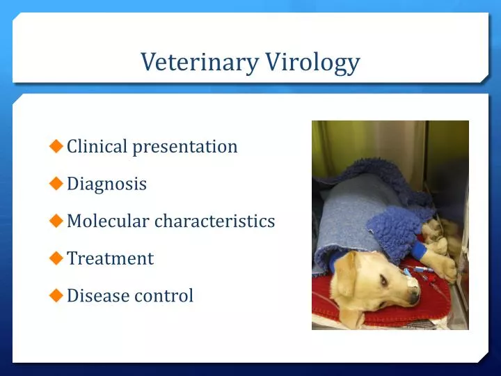 veterinary virology