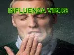 Influenza Virus - slide 1