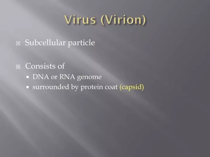 virus virion