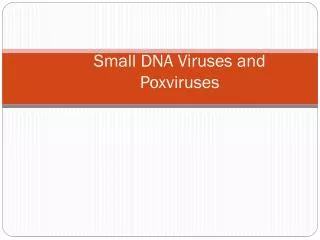 Small DNA Viruses and Poxviruses
