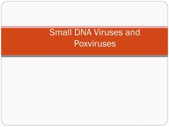 small dna viruses and poxviruses