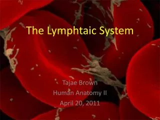 The Lymphtaic System