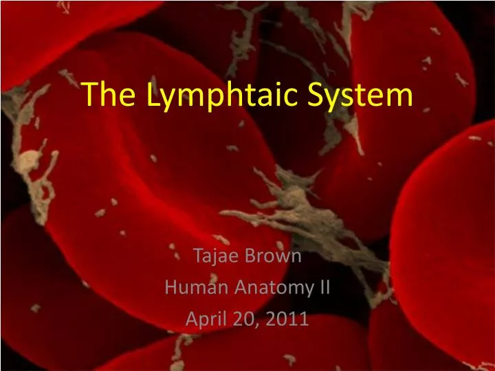 the lymphtaic system