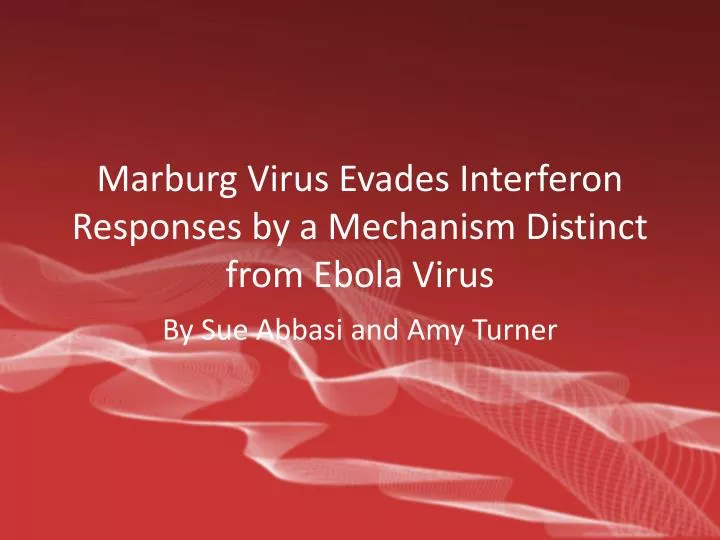 marburg virus evades interferon responses by a mechanism distinct from ebola virus