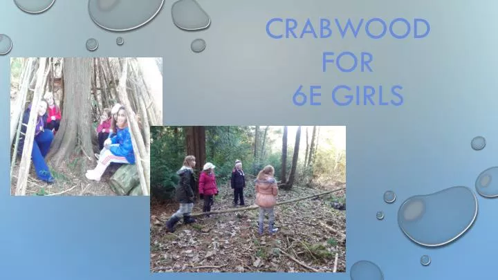 crabwood for 6e girls