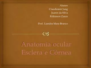 anatomia ocular esclera e c rnea