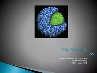 The Norvirus