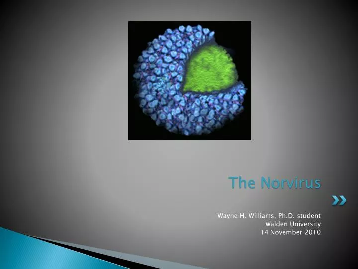 the norvirus