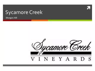 Sycamore Creek