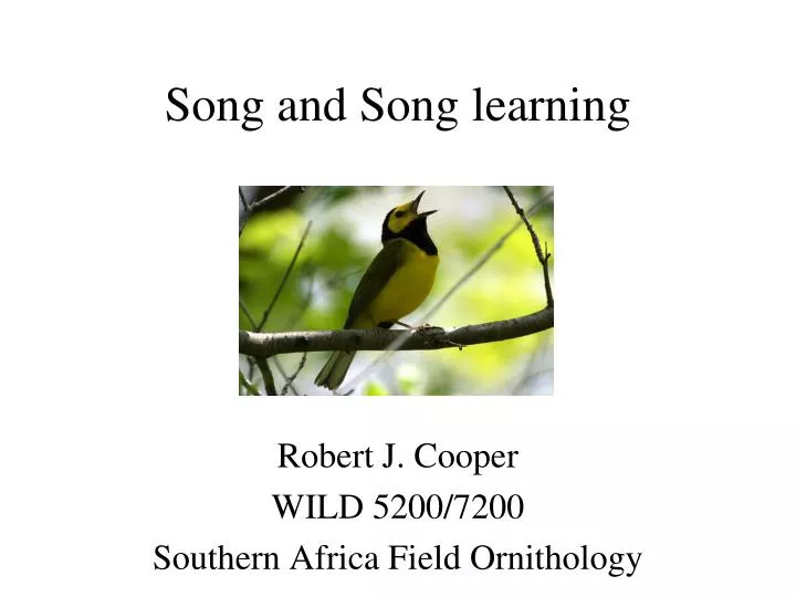 song and song learning