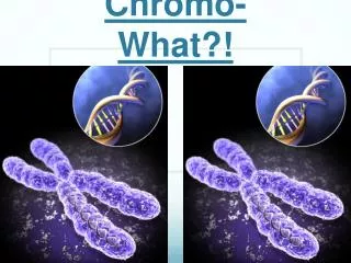 Chromo- What?!