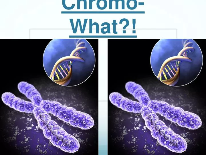 chromo what