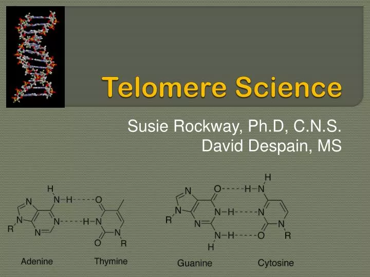 telomere science