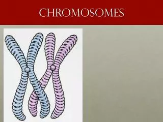 Chromosomes