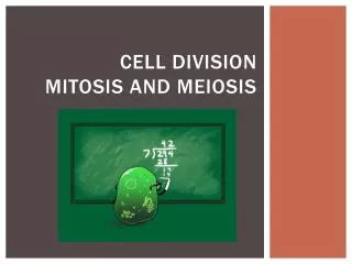 Cell Division mitosis and meiosis
