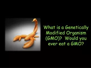 What is a Genetically Modified Organism (GMO)? Would you ever eat a GMO?