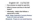 English 10 - 11/15/10